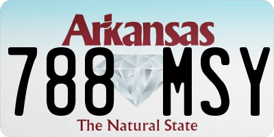 AR license plate 788MSY