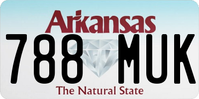 AR license plate 788MUK