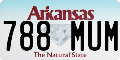 AR license plate 788MUM