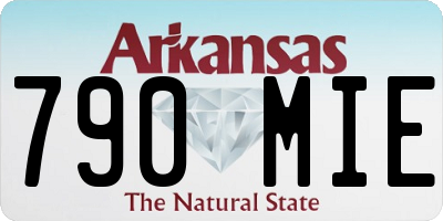 AR license plate 790MIE
