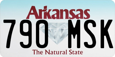 AR license plate 790MSK