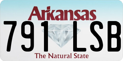 AR license plate 791LSB