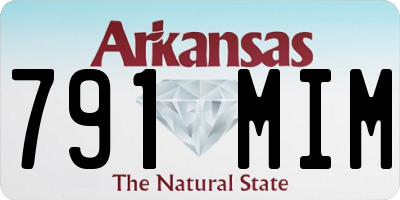 AR license plate 791MIM