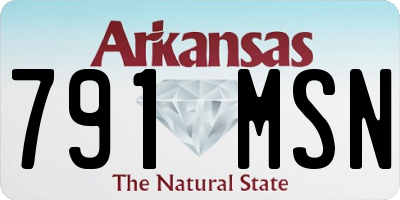 AR license plate 791MSN
