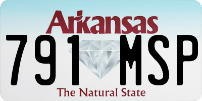 AR license plate 791MSP