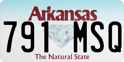 AR license plate 791MSQ