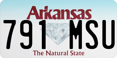 AR license plate 791MSU