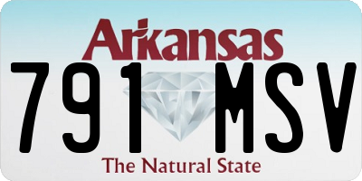 AR license plate 791MSV