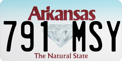 AR license plate 791MSY