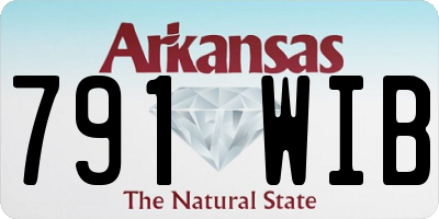 AR license plate 791WIB