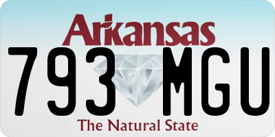 AR license plate 793MGU