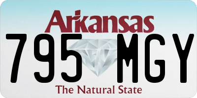 AR license plate 795MGY