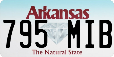 AR license plate 795MIB
