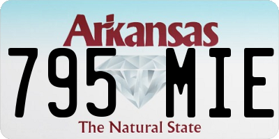 AR license plate 795MIE