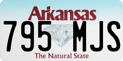 AR license plate 795MJS
