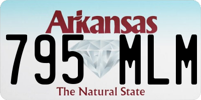 AR license plate 795MLM