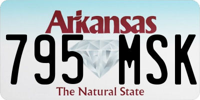 AR license plate 795MSK