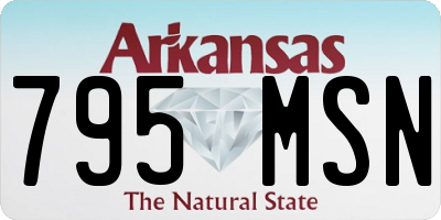 AR license plate 795MSN