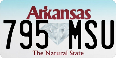 AR license plate 795MSU