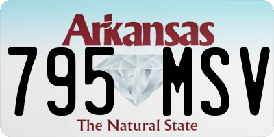 AR license plate 795MSV