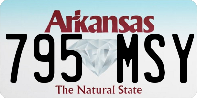 AR license plate 795MSY