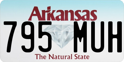 AR license plate 795MUH
