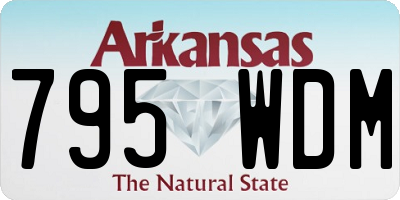 AR license plate 795WDM