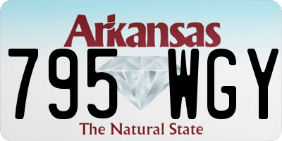 AR license plate 795WGY