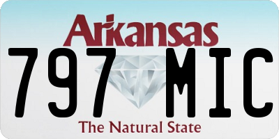 AR license plate 797MIC
