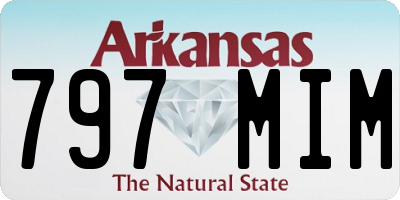 AR license plate 797MIM