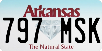 AR license plate 797MSK