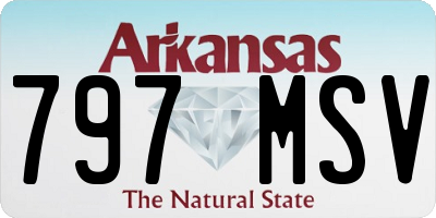 AR license plate 797MSV