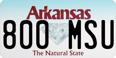 AR license plate 800MSU