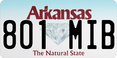 AR license plate 801MIB
