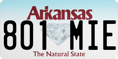 AR license plate 801MIE