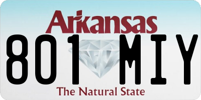 AR license plate 801MIY