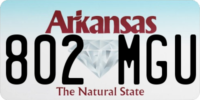 AR license plate 802MGU