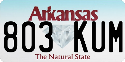 AR license plate 803KUM