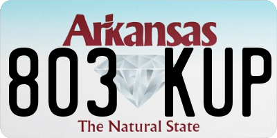 AR license plate 803KUP