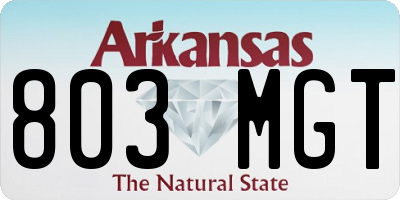 AR license plate 803MGT