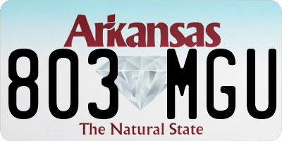 AR license plate 803MGU