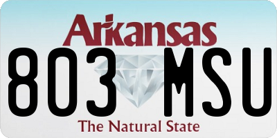 AR license plate 803MSU