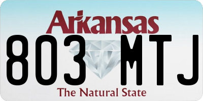 AR license plate 803MTJ