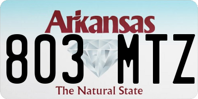 AR license plate 803MTZ