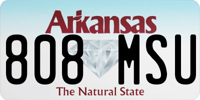 AR license plate 808MSU