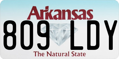 AR license plate 809LDY
