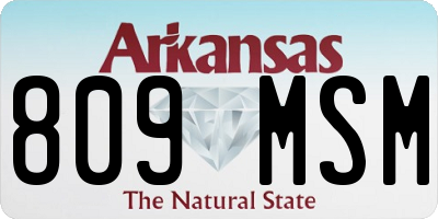 AR license plate 809MSM