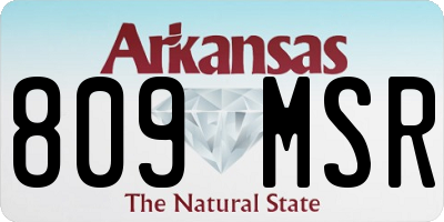 AR license plate 809MSR