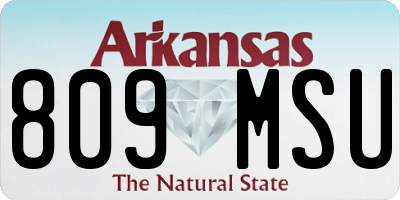 AR license plate 809MSU