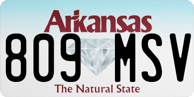 AR license plate 809MSV
